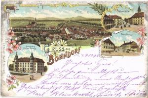 1898 Bonndorf, Rathausplatz, Neustrasse, Amtshaus (Ehemal Schloss) / town hall, street, square, castle. J.A. Binder Art Nouveau, floral, litho
