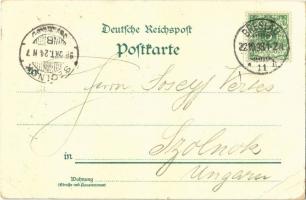 1898 Wroclaw, Breslau; Dom / dome. Kunstanstalt J. Miesler Art Nouveau, floral, litho (EK)