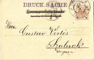 1901 Trieste, Trieszt; Palazzo Municipale / town hall. litho