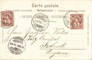 1898 Vierwaldstättersee, Lake Lucerne; Axenfels, Tellskapelle. Schlumpf floral, litho (EK)