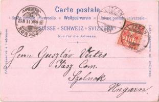 1898 Vierwaldstättersee, Lake Lucerne; Rütli, Tellskapelle. Schlumpf floral, litho