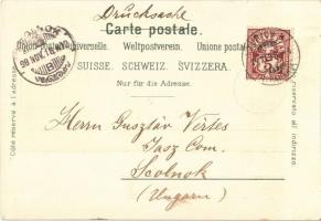 1898 Zürich, Blick auf den See / lake. Carl Künzli floral, litho