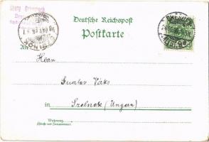 1898 Dresden, Hauptbahnhof / railway station, tram. Moritz Zobel floral, litho (EK)