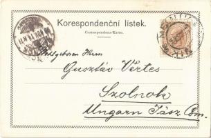 1898 Melník. J. Jelen Art Nouveau, floral