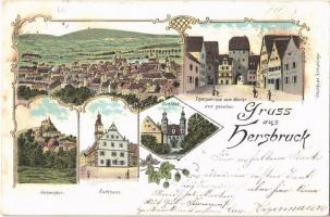 1898 Hersbruck, Schloss, Rathhaus, Hohenstein, Thorparthie vom Markt aus gesehen / castle, town hall, gate. Art Nouveau, floral, litho