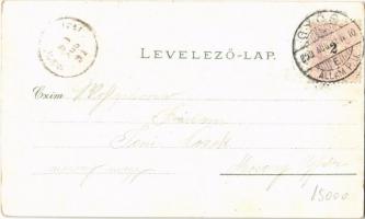 1899 Győr, M. kir. állami tanítónőképző intézet, sétáló urak és hölgyek a parkban. Art Nouveau, flor...