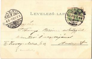 1902 Vác, Nagy templom, fegyintézet, Siketnéma intézet. Ottmar Zieher Art Nouveau, floral, litho