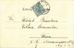 1903 Miroslav, Misslitz; Gast und Einkehrhaus Th. Ruidner / hotel and restaurant (EK)