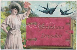 Dresden. Gruss aus... leporellocard with, book, lady and swallows (EK)