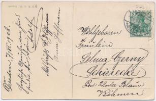 Dresden. Gruss aus... leporellocard with, book, lady and swallows (EK)