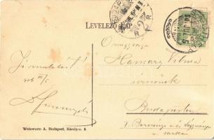 1906 Sátoraljaújhely, Erzsébet közkórház. Zemplén vármegye, címer. Weinwurm A. kiadása, Art Nouveau