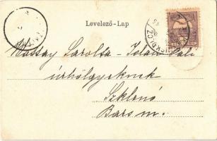 ~1900 Miskolc, Erzsébet tér, Szecessziós litho címer. Art Nouveau, litho