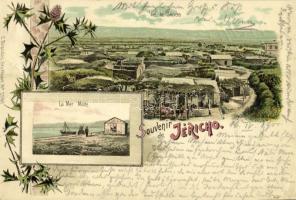 1900 Souvenir de Jericho. La Mer Morte / Dead Sea. Judaica art postcard. C. Brandes No. 2060. Art Nouveau, floral, litho (Rb)