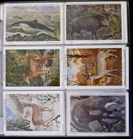 Kb. 300 db RÉGI motívum képeslap albumban: madarak. Vegyes minőség / Cca. 300 pre-1950 motive postca...