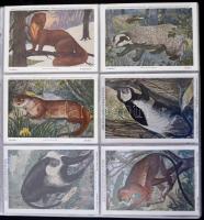 Kb. 300 db RÉGI motívum képeslap albumban: madarak. Vegyes minőség / Cca. 300 pre-1950 motive postca...