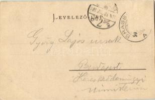 1901 Brassó, Kronstadt, Brasov; Kapu utca / Purzengasse. Julius Müller's Nachfolger / street