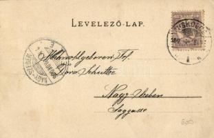 1900 Miskolc, Szemere utca, Pollacsek Vilmos fogorvosi rendelője. Kiadja Lővy József fia (EK)