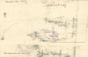 Martonvásár, Dreher Antal kastélya (Brunszvik kastély). W. L. (?) 433. Kiadja Braun Mór (fl)