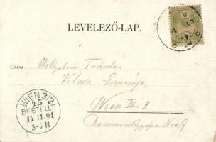 1901 Orsova, gőzhajó előkelő hölgyekkkel, művészlap / steamship with ladies, art postcard. Druck u. ...