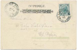 1901 Lady head in flower. Art Nouveau decorated litho