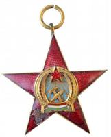 1949. Magyar Népköztársasági Érdemérem aranyozott, zománcozott kitüntetés, füllel, szalag nélkül, zománchibával (~57mm) T:2