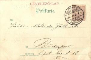 1900 Viele Grüsse. Kanitz C. és fiai, Art Nouveau s: F.A