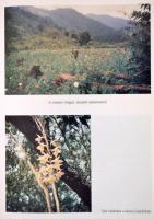 Cey-Bert Róbert Gyula: A Sólyom embere útjai. A Belső Kék Csend útjain. A szabadság és halál útjain....