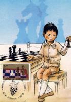 Románia : 1991. évi sakklap, sakkbélyeggel és bélyegzéssel C