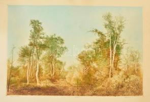 Dudás Jenő (1900-1991): Erdő széle. Színezett rézkarc, papír, jelzett, 29×39 cm