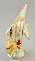 Drasche halacska a csigaháznál, kézzel festett, apró kopásnyomokkal, jelzett, m:14,5 cm