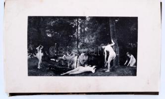 Armand Silvestre: Le Nu au Salon de 1896. (Champs-Élysées.) Pierre Roy erotikus illusztrációival. Pa...