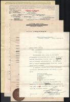 1923 Magyar Királyság által kiadott fényképes útlevél, egyéb okmányokkal / Hungarian passport