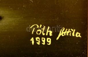 Tóth Attila (1967-): A lebegő gyertya. Olaj, farost, jelzett, keretben, 40×27 cm