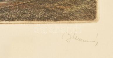 Blahos Rudolf (1917-1986): A régi Királyi vár. Színezett rézkarc, papír, jelzett, üvegezett keretben...