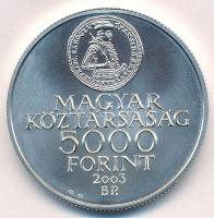 2003. 5000Ft Ag "Rákóczi szabadságharc 300. évfordulója" T:BU Adamo EM186