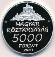 2003. 5000Ft Ag "Hollókő" T:PP Adamo EM185