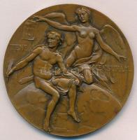 Németország DN "Leopold Sonnemann / Tene Mensuram" kétoldalas Br plakett (50mm) T:1- ph.
...