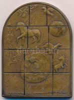 Kanada 1974. "Simeon" kétoldalas Br plakett sorszám nélkül T:1- ph.
Canada 1974. "Si...