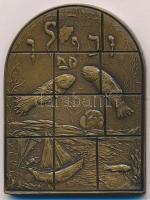 Kanada 1974. "Zebulun" kétoldalas Br plakett sorszámmal T:1- kis ph.
Canada 1974. "Z...