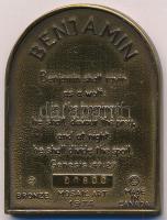 Kanada 1974. Benjamin kétoldalas Br plakett sorszámmal T:1-  Canada 1974. Benjamin two sided Br plaque with serial number C:AU