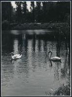 cca 1960-1970 Vegyes fotó tétel: külföldi és belföldi utazások, 20 db nagyméretű fotó, 18×24 cm