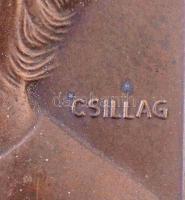 Csillag István (1881-1968) 1928. "Rákosi Szidi - Aetatis Svae" színésznő Br emlékplakettje...