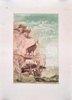 Tuka László (1924-2007): Zergék, színezett rézkarc, papír, jelzett, számozott, feltekerve, 26,5×40,5...