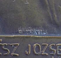 Dr. Hőgyes Ferenc (1860-1923) ~1917. "Dr. Kertész József egyetemi M tanár, tanácsadó, sebész, a...