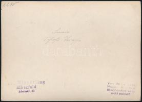 cca 1910-1930 Sinaia, a Peleş-kastély, fotó, hátulján feliratozva, pecséttel jelzett, 13×18 cm