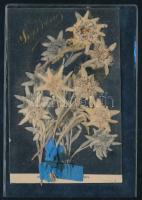Préselt havasi gyopár, szuvenír, levelezőlapra ragasztva, 9×14 cm
