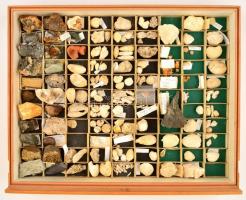 Vegyes kőzet és fosszília gyűjtemény, kb. 120 db, vitrinbe rendezve