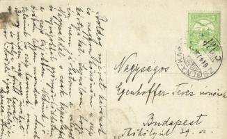 1914 Tátraszéplak, Tatranska Polianka, Westerheim (Magas-Tátra, Vysoké Tatry); Barry, a bernáthegyi ...