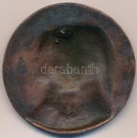 DN "Dante - Beatrice" bronzozott fém plakett (66,5mm) T:2 kopott bronzozás
ND "Dante...