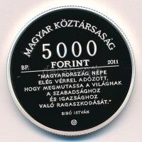 2011. 5000Ft Ag "Bibó István" T:PP Adamo EM241